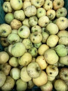 Belchard / Chanteclerc