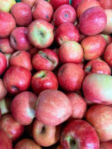 Cripps Pink