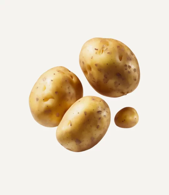 Potato