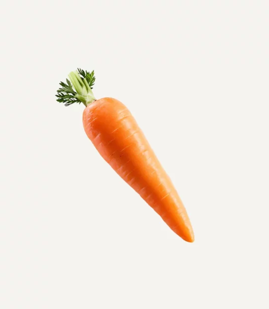 Orange Carrot