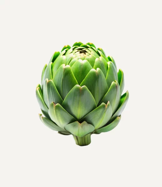 Artichoke