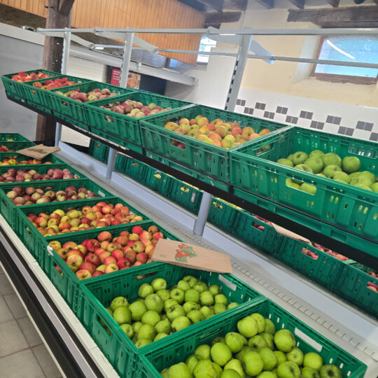 FRUITS