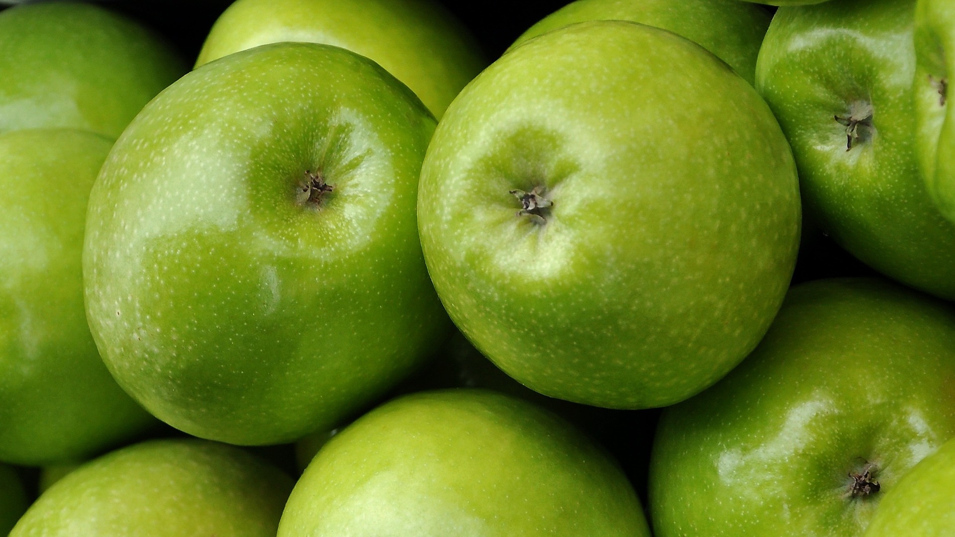 granny-smith granny-smith