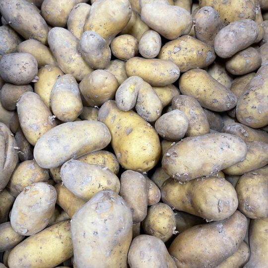 patates