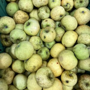 Belchard / Chanteclerc