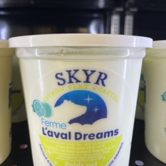 SKYR Citron Vert / Cactus