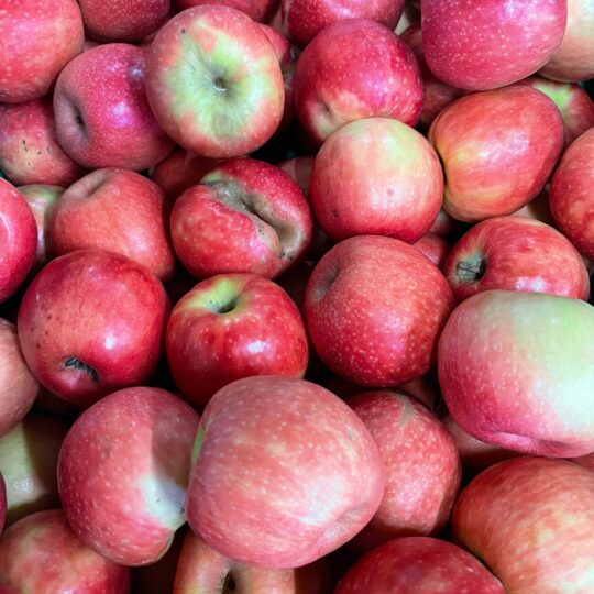 Cripps Pink