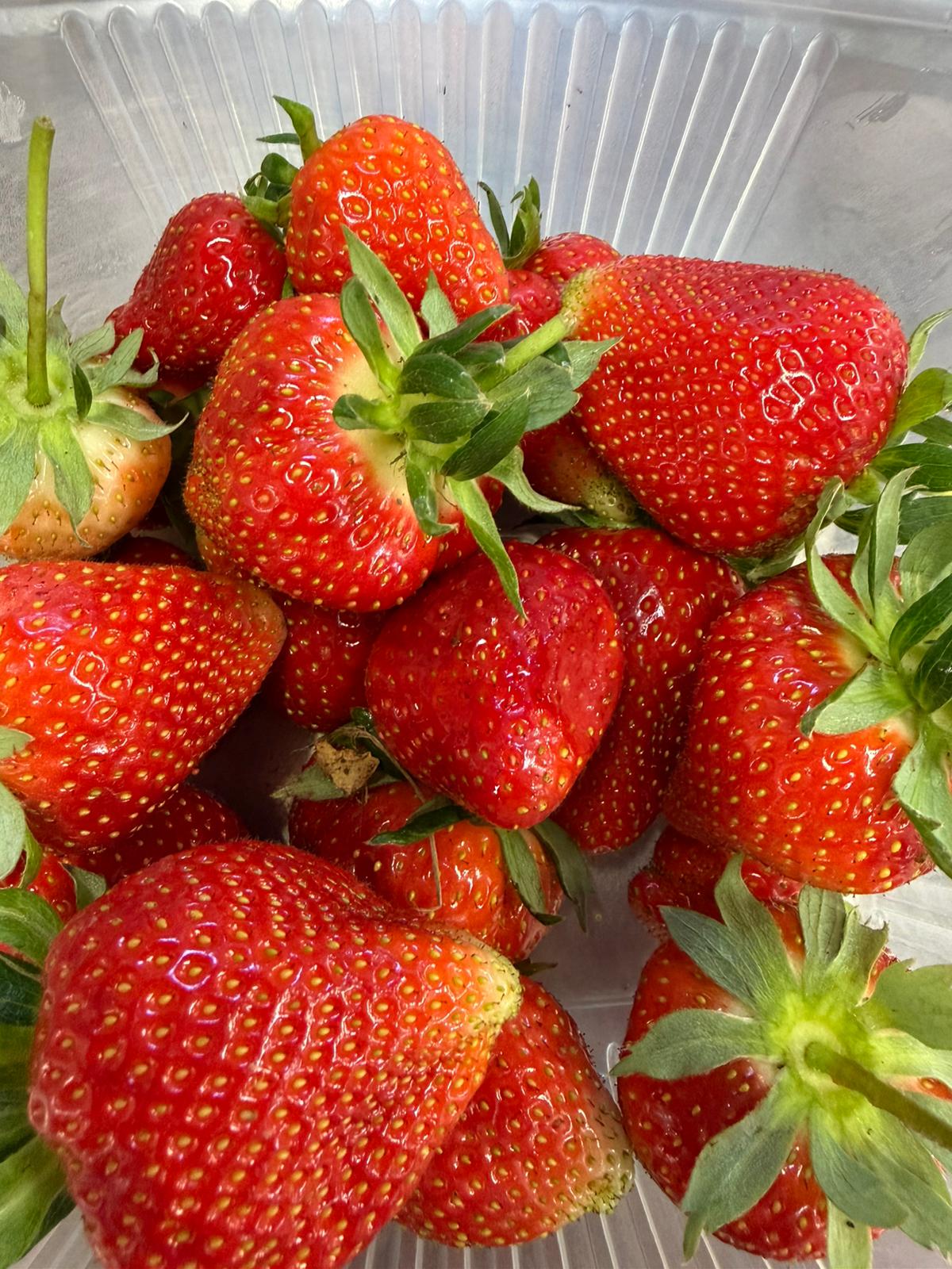 Les Petits Fruits — Les Nouveaux Jardins d'Orgères