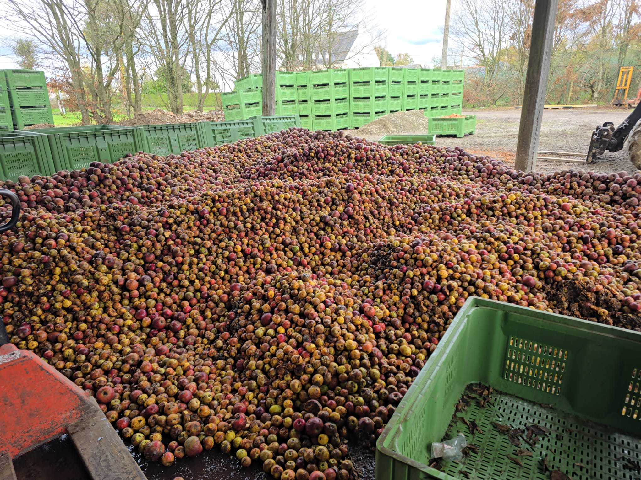 Production cidre Orgères