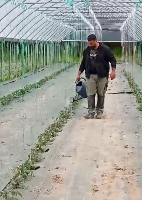 Culture sans pesticides