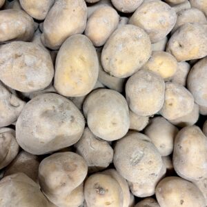 Pommes de terre Jelly cultivées à Orgères