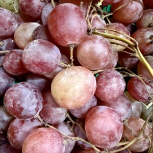 Raisin noir issu de l'agriculture biologique