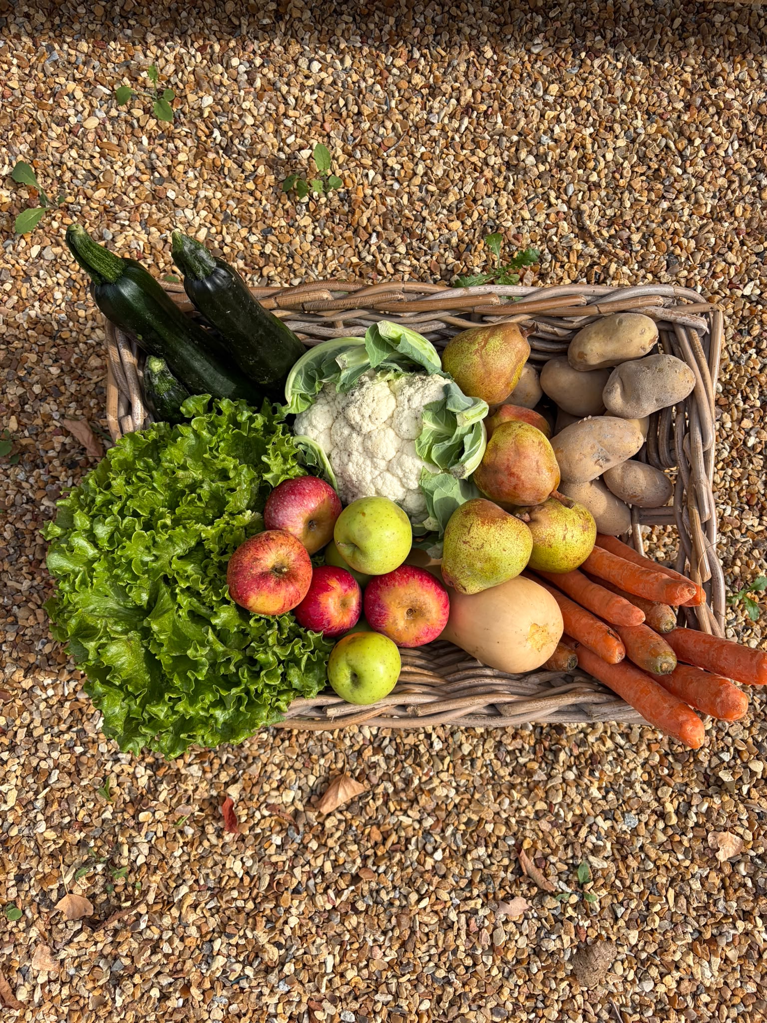 Panier de saison Le Potager : légumes de nos jardins et pommes du verger bio