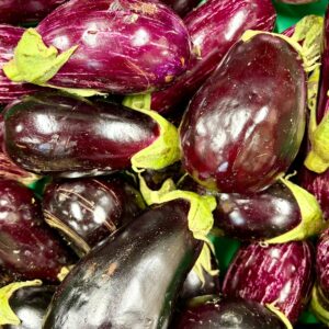 Aubergines cultivées à Orgères