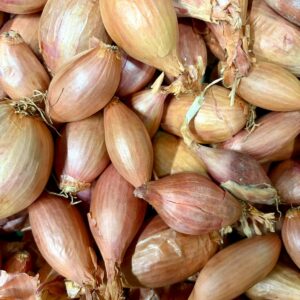 Échalotes cultivées à Orgères