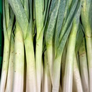 Poireaux cultivés à Orgères
