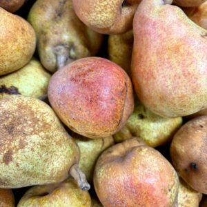 Poires Comice du verger bio d'Orgères