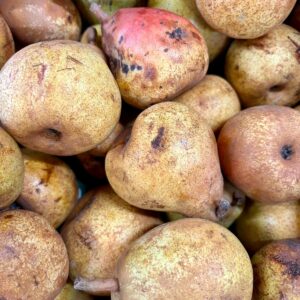 Poires Williams du verger bio d'Orgères