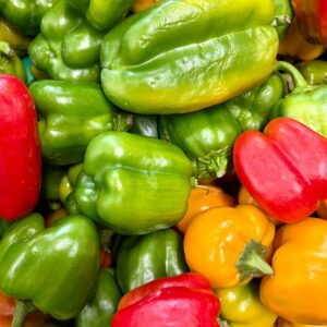 Poivrons cultivés à Orgères